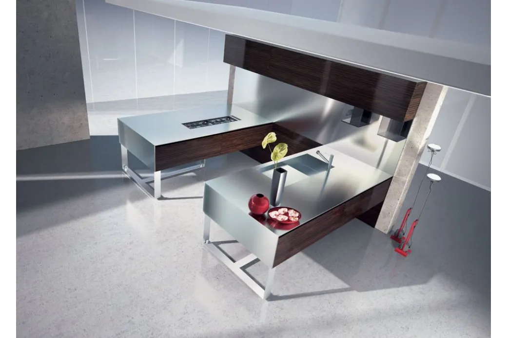 Cucina in Acciaio e Legno Laccato 